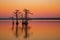 Landscapes of Reelfoot Lake Tennessee in Sunset