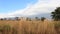 Landscapes Savanna Field And View Of Blyde River Canyon