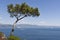 Landscapes on the sea along the coast of Portofino