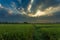 Landscapes,Sunrise sunset Paddy field Beautiful landscape thailand blur.