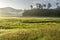 Landscapes of Suoi Tia near Ho Tuyen Lam lake, Da Lat city, Vietnam