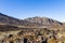 Landscapes of Tongariro National Park. Valley of Three Volcanoes. North Island. New Zealand