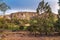 Landscapes with vegetation in Ayacucho, Peru