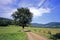 Landscapes of the Vosges mountains in summer in Alsace in France