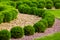 Landscaping of a backyard garden with wave ornamental growth cypress bushes.