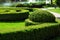 Landscaping boxwood hedge with a lawn.