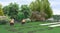 Landscaping country style garden planting of greenery, 3D render