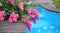Landscaping and decoration of pool.