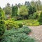 Landscaping of a garden with a bright green lawn, colorful shrubs, decorative evergreen plants and shaped boxwood Buxus