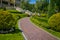 Landscaping in the garden. The path in the garden.Beautiful back