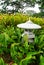 Landscaping in oriental style garden