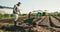 Landscaping soil, wheelbarrow and people on farm gardening for vegetables, harvest and crops. Agro business, agriculture