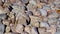 Landscaping stones in assorted sizes and colors