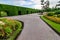 Landscaping trimmed trees in public park