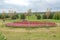 Landscaping in the tulip arboretum