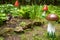 Landscaping with a wooden mushroom