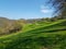 Landschaft im FrÃ¼hling