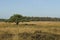 Landschap van Strabrechtse Heide, Landscape at Strabrechtse Heide