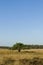 Landschap van Strabrechtse Heide, Landscape at Strabrechtse Heide