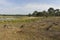 Landschap van Strabrechtse Heide, Landscape at Strabrechtse Heide