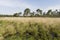 Landschap van Strabrechtse Heide, Landscape at Strabrechtse Heide