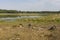 Landschap van Strabrechtse Heide, Landscape at Strabrechtse Heide