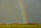 Landschap Zeevang; Landscape Zeevang, Netherlands