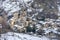 Landscpe in Os de Civis, LLeida, Catalonia, Spain in Winter