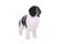 Landseer dog christmas santa white puppy xmas