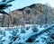 Landskape mountain winter Nature forest