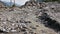 Landslide, mudslide in Rauris, Salzburg after raining. Austria