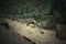 Landslide into river Bhagirathi in Himalayan Mountains, Uttarakhand, India