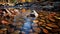 Landslide Stream: Captivating Autumn Scene With Rocks And Leaves