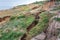 landslides on the slopes off the coast.