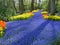 Lane of flowers in dutch spring garden