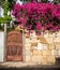 Lane Gate with Sandstone Wall and Bright Fuchsia Bougainvillea F