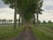 Lane with poplars in the Flemish countryside