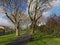 Lane thorugh a city park withh bare oak tres, lawn and benches in Dublin