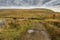 Lanes at Twistleton Scar near Ingleton in the Dales