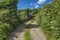 Laneway to Carn Euny, Cornwall