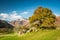 Langdale Boulders looking towards the Pikes in the English Lake District.