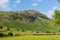 Langdale Valley Lake District Cumbria Pike of Blisco mountain near Old Dungeon Ghyll England UK in summer