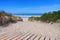 Langeoog dune and track