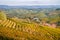 Langhe Barolo vineyards hills landscape, Piedmont, Italy.