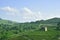 Langhe, Barolo vineyards panorama