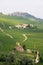 Langhe district, Italian vineyards