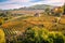 Langhe e Roero vineyards hills autumn landscape