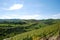 Langhe Hills, Piedmont