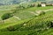 Langhe, hilly wine region in Piedmont, Italy