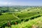 Langhe, hilly wine region in Piedmont, Italy